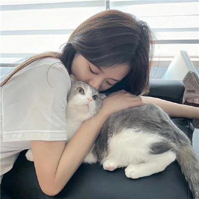 金牌投资人