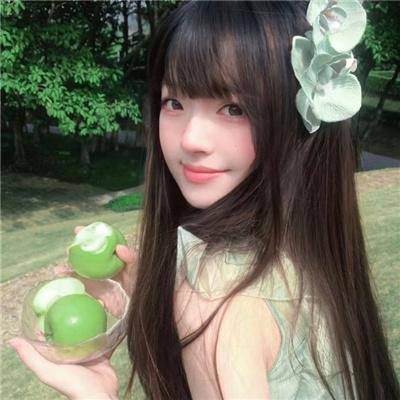 如果德川家康成为总理大臣