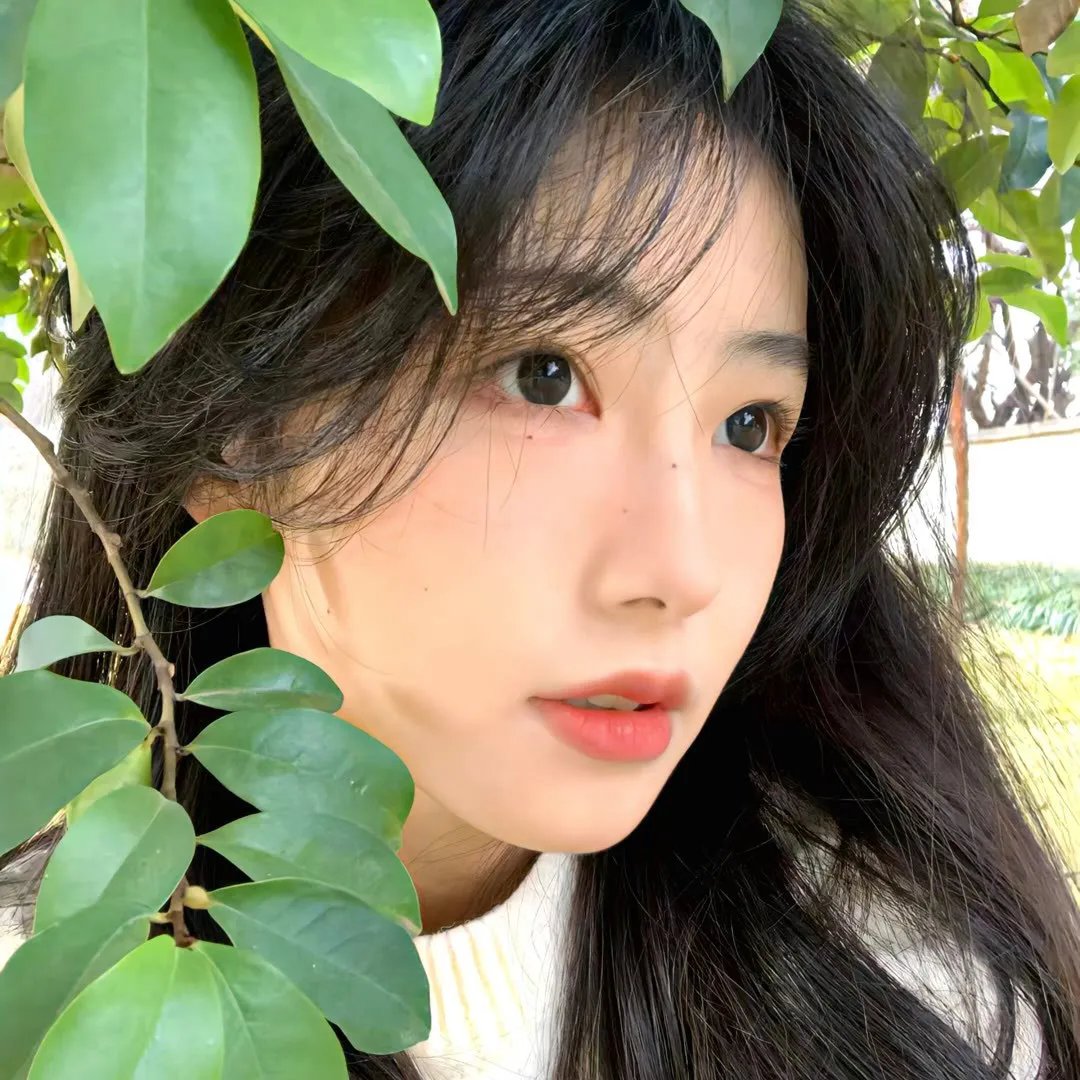 王国第二季